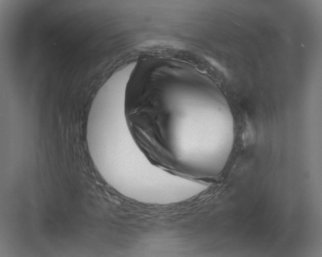 X0000082170965200702162257