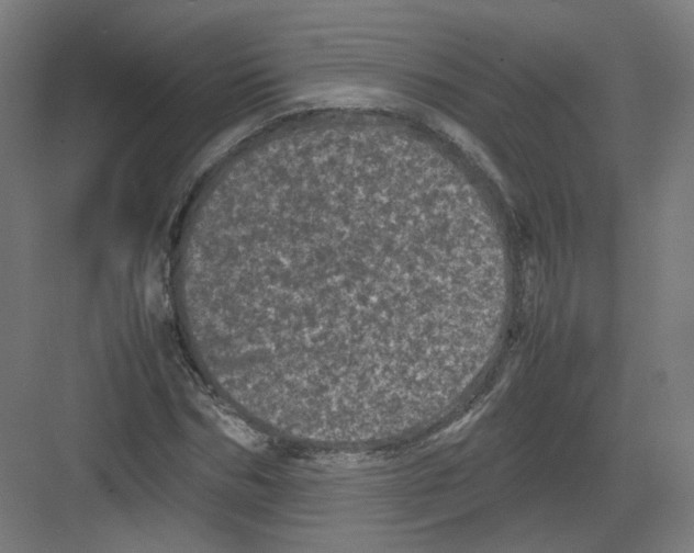 X0000082170970200702162256