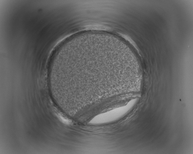 X0000082170971200702162256