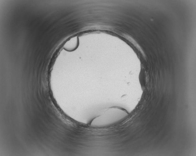 X0000082170972200702162256