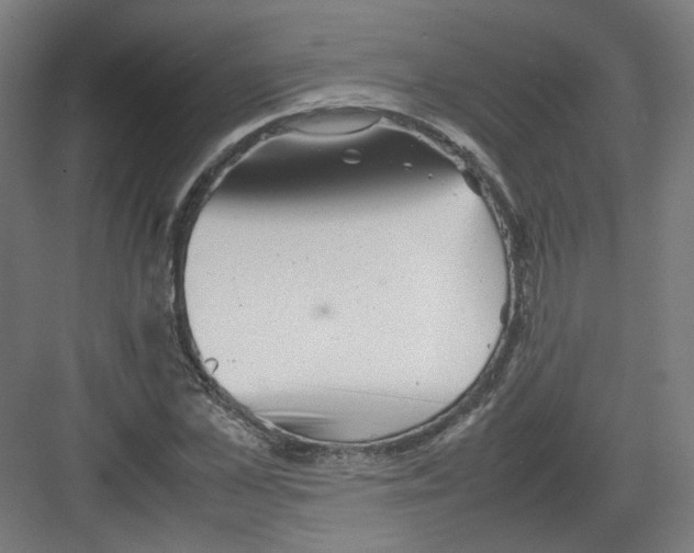 X0000082170973200702162256