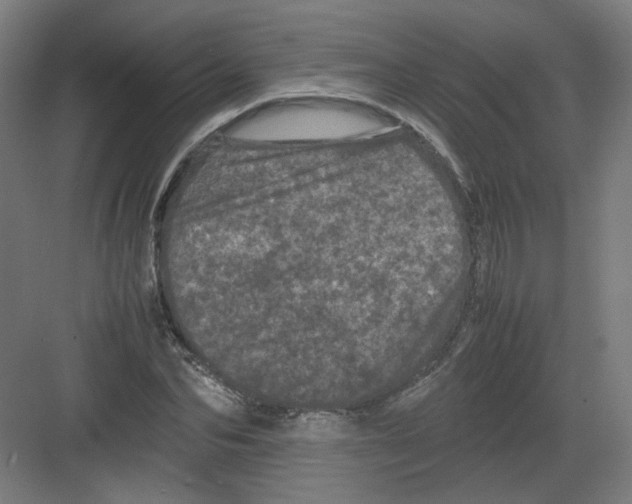 X0000082170974200702162256