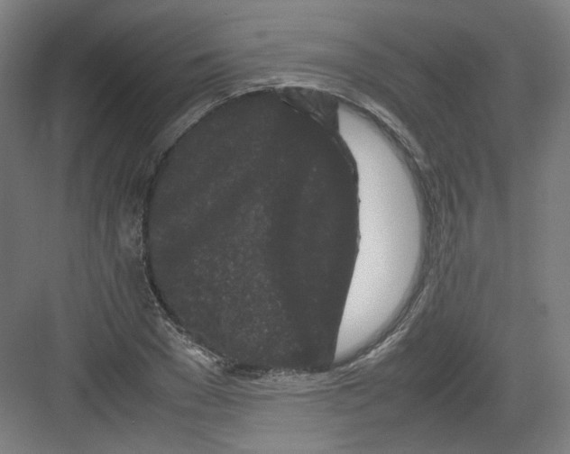 X0000082170977200702162256