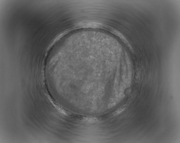 X0000082170978200702162256