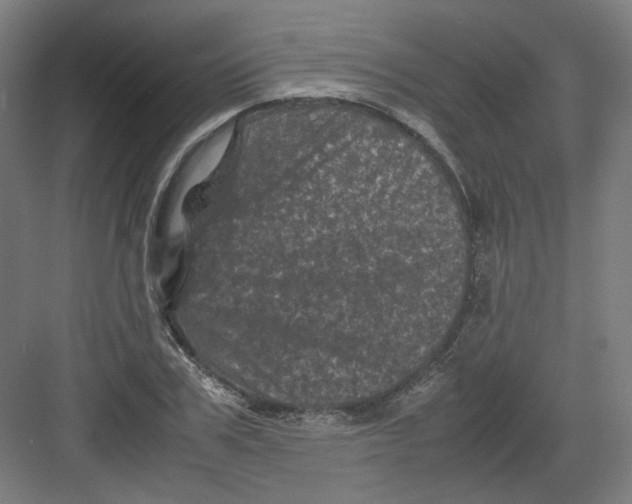 X0000082170979200702162256