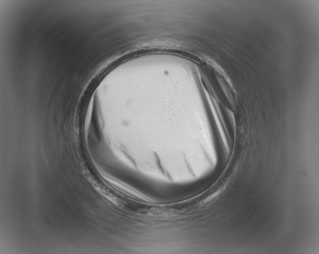 X0000082170981200702162256