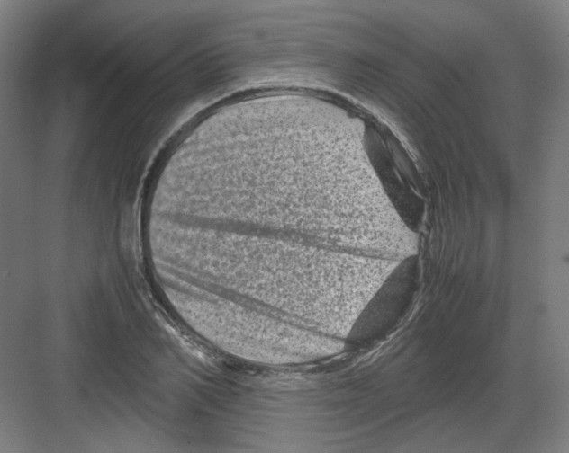 X0000082170982200702162256