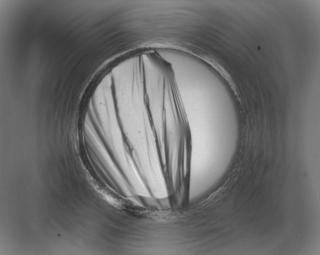 X0000082170984200702162256