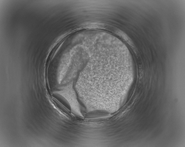 X0000082170986200702162256