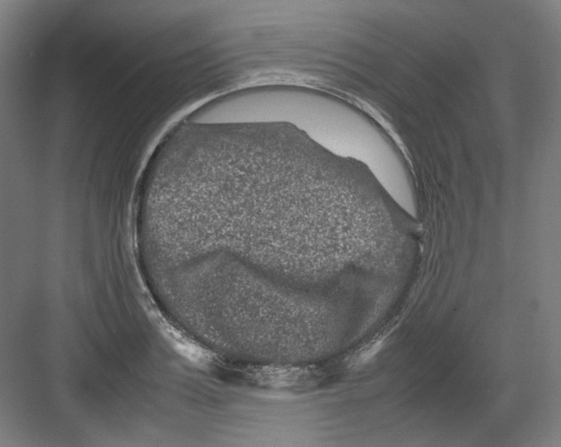 X0000082170987200702162256