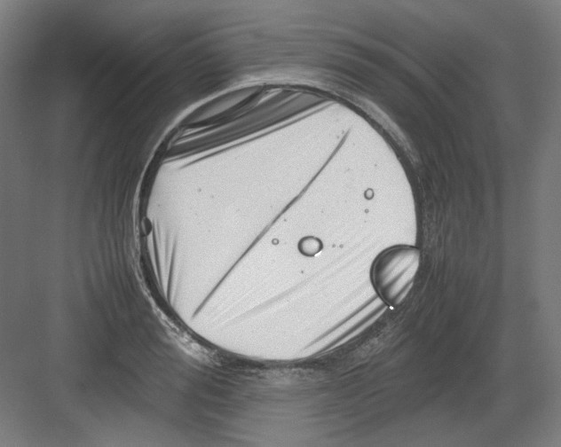 X0000082170988200702162256