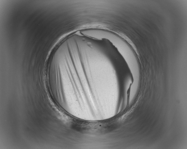 X0000082170989200702162256