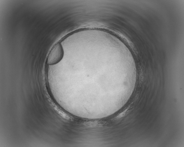 X0000082170990200702162256