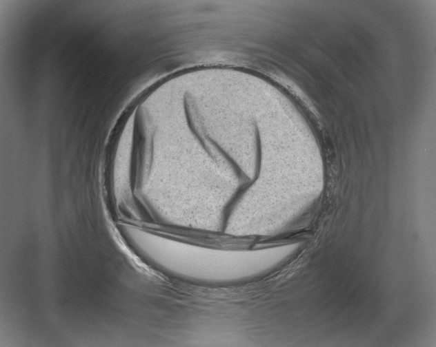 X0000082170991200702162256