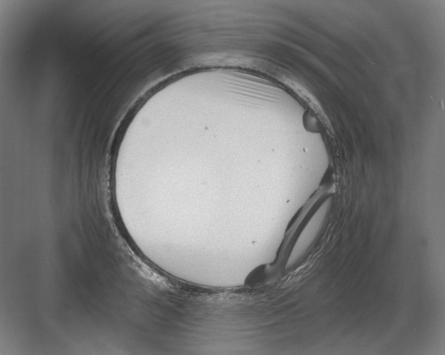 X0000082170992200702162256