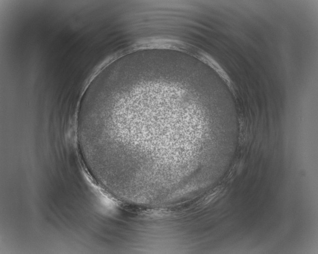 X0000082170994200702162256