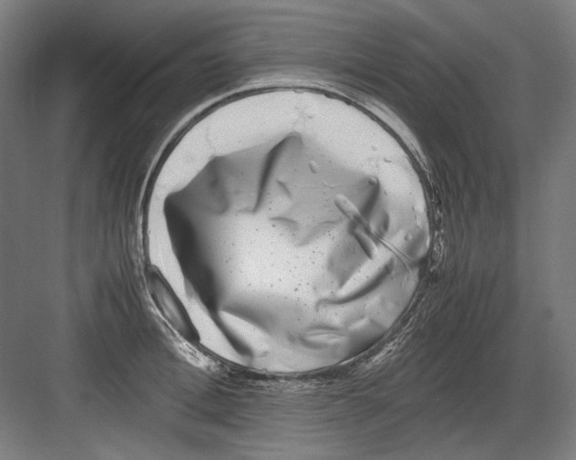 X0000082170996200702162256