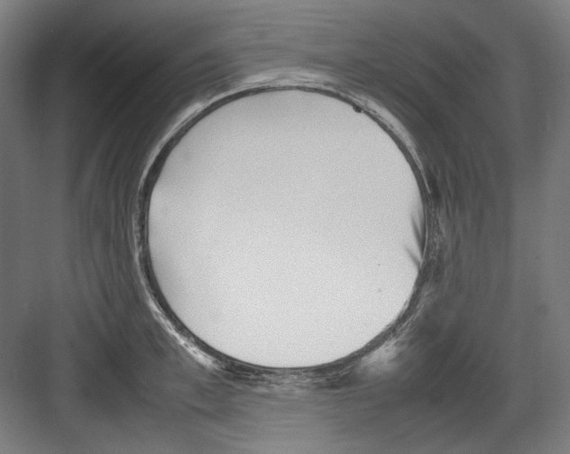 X0000082170997200702162256