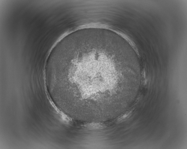 X0000082170998200702162256