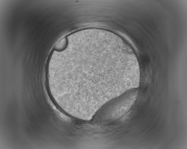 X0000082170999200702162256