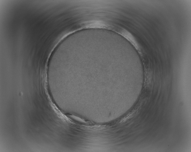 X0000082171000200702162256