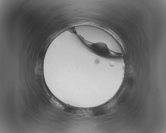 X0000082171001200702162256