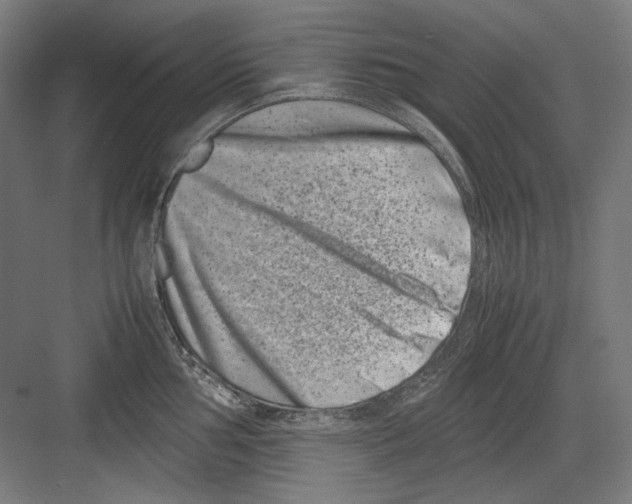 X0000082171002200702162256