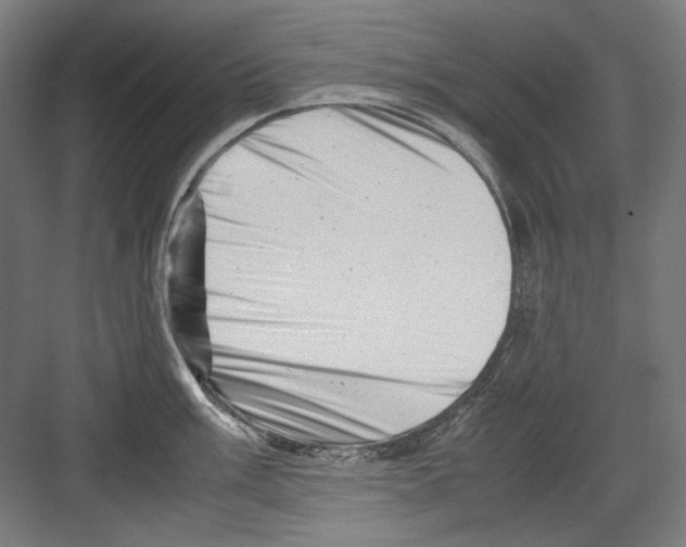 X0000082171003200702162256