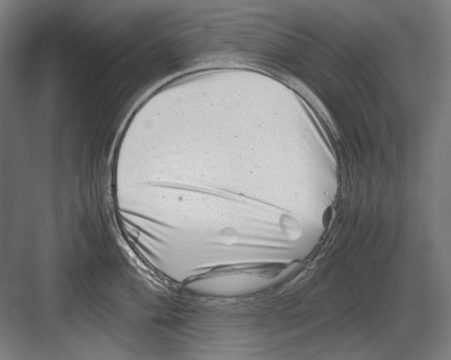 X0000082171004200702162256