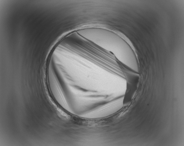 X0000082171005200702162256