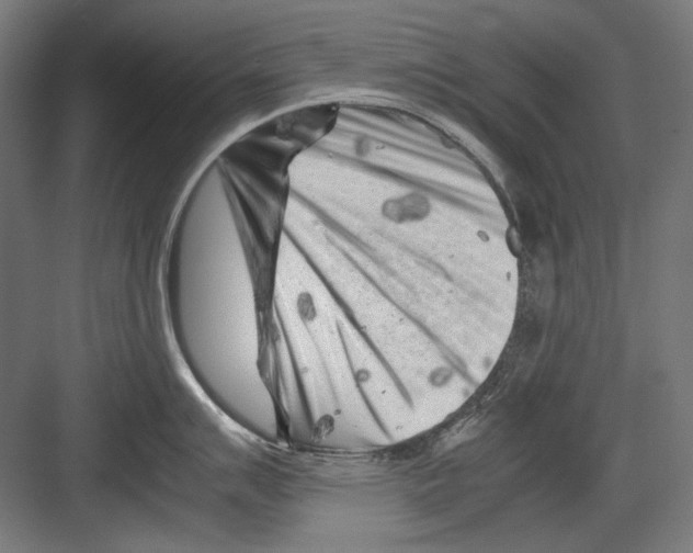 X0000082171007200702162256