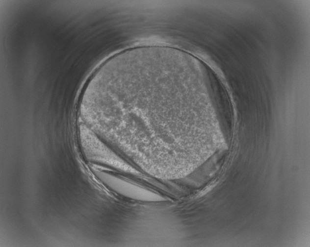 X0000082171008200702162256