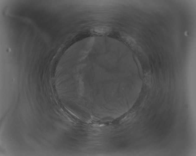 X0000082171009200702162255