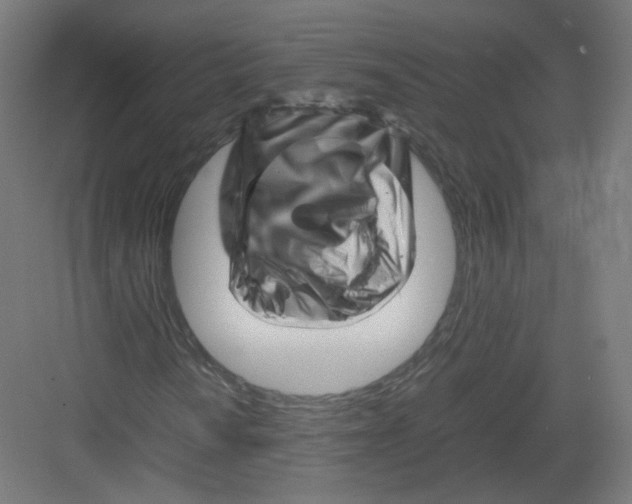 X0000082171010200702162255