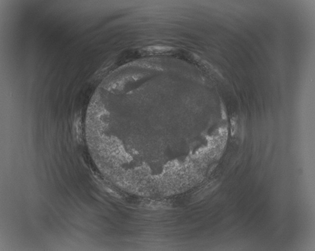 X0000082171011200702162255