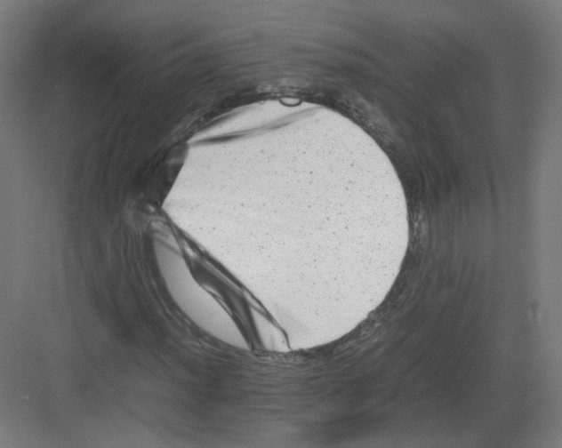 X0000082171012200702162255