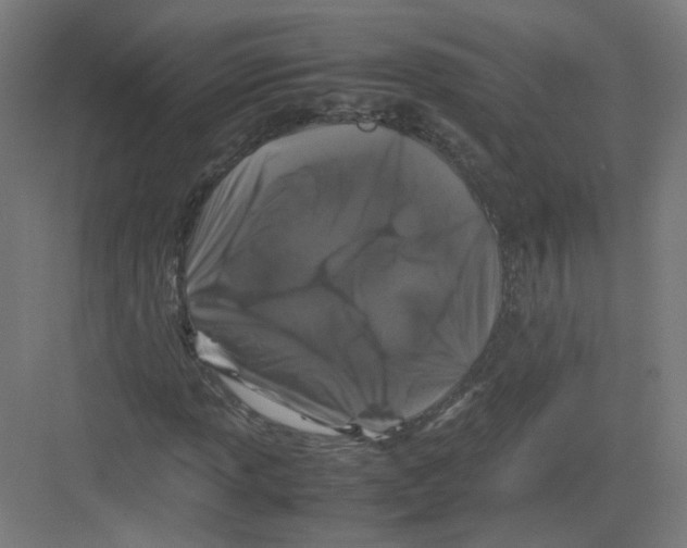 X0000082171013200702162255