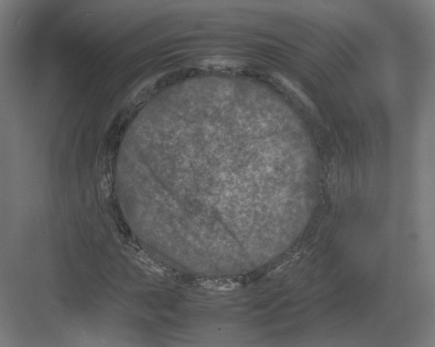 X0000082171015200702162255