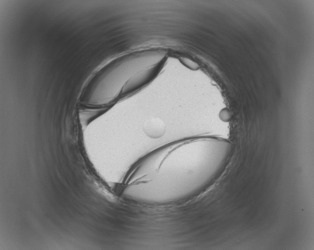 X0000082171018200702162255