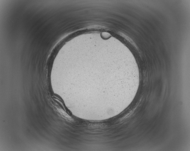 X0000082171021200702162255