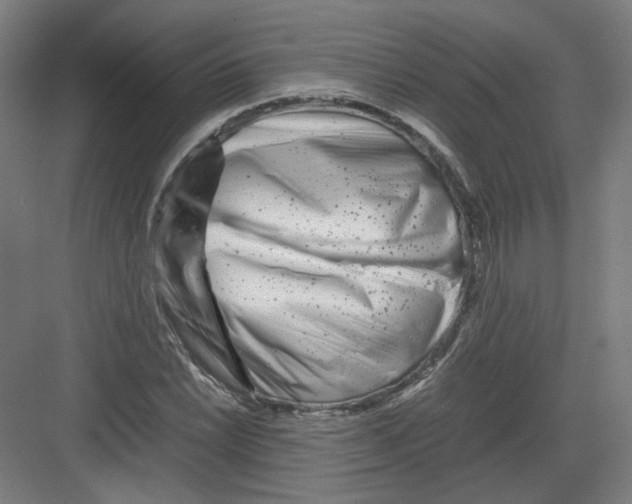 X0000082171022200702162255