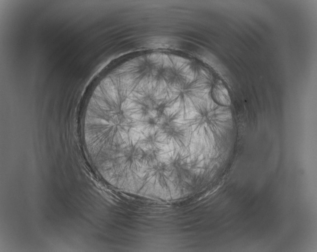X0000082171023200702162255