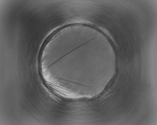 X0000082171024200702162255