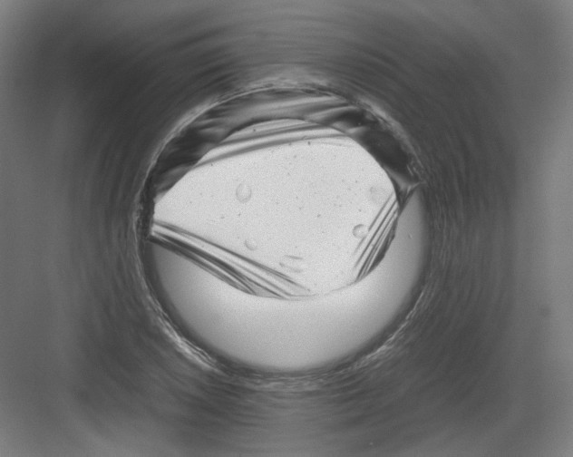 X0000082171026200702162255