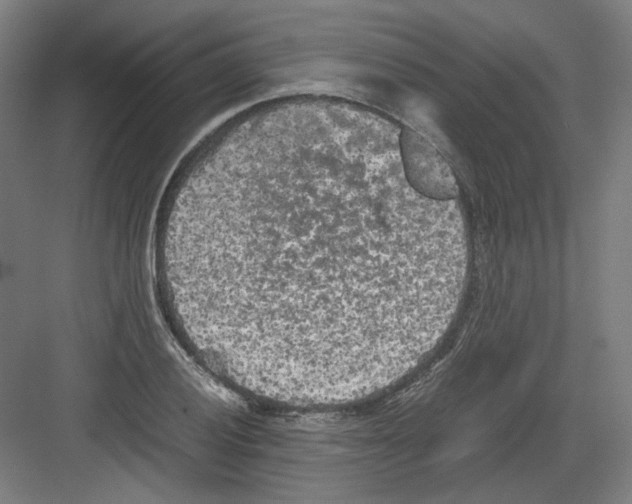 X0000082171028200702162255