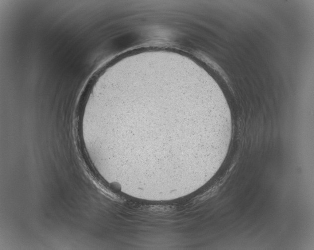 X0000082171029200702162255