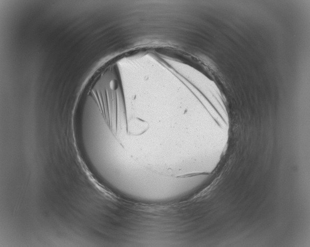 X0000082171030200702162255