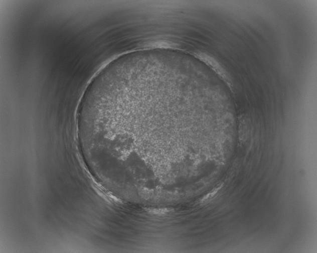 X0000082171031200702162255