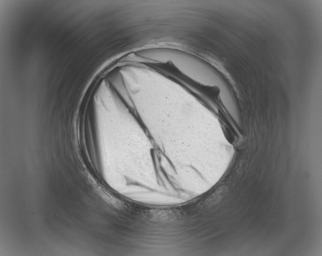 X0000082171032200702162255