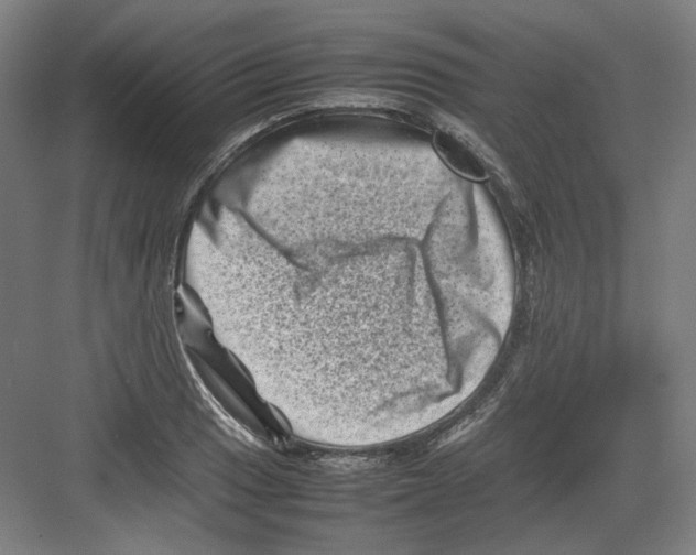 X0000082171033200702162255